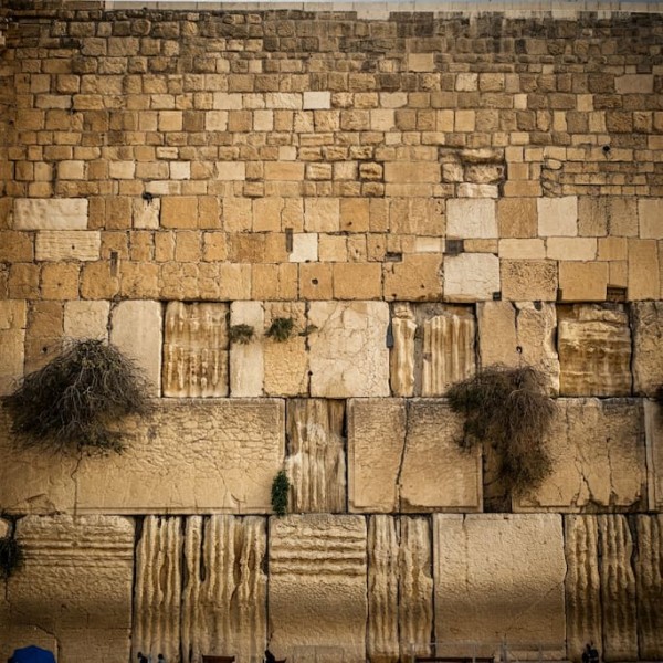  מליצה נפלאה על כלל ישראל ממרן ה'בני יששכר'