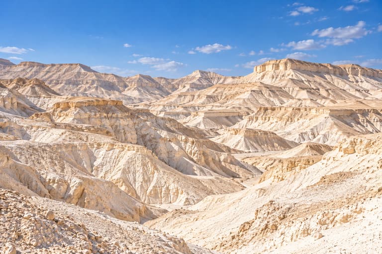  משיב כענין לשואל שלא כהלכה