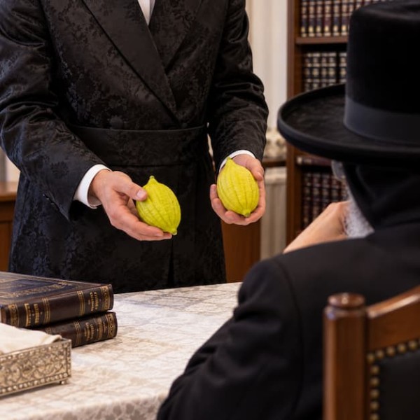  שְלַח שני אתרוגים, ואומר לך מה נאה יותר...
